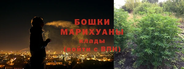твердый Лагань